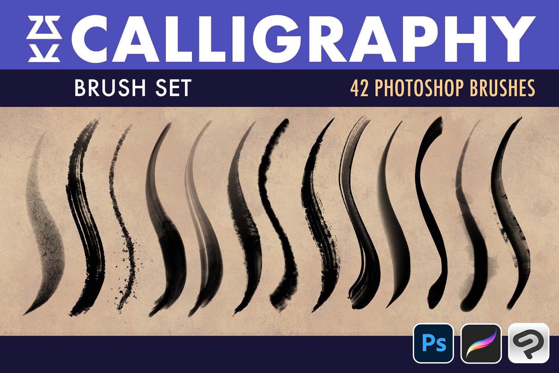 Calligraphy Brush Set | Procreate | Photoshop | CSP | Texture Brushes ...