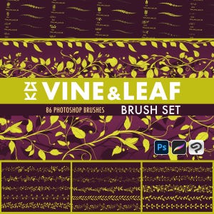 Ensemble de pinceaux pour vigne et feuilles | Procréer | Photoshop | CSP | Pinceaux à texture