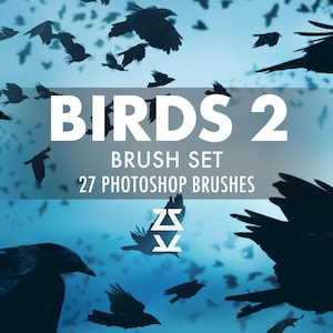 May include: A digital art image featuring silhouetted birds in flight against a blue gradient background. The text "BIRDS 2" is displayed, along with "BRUSH SET" and "27 PHOTOSHOP BRUSHES". A stylized logo is also present.
