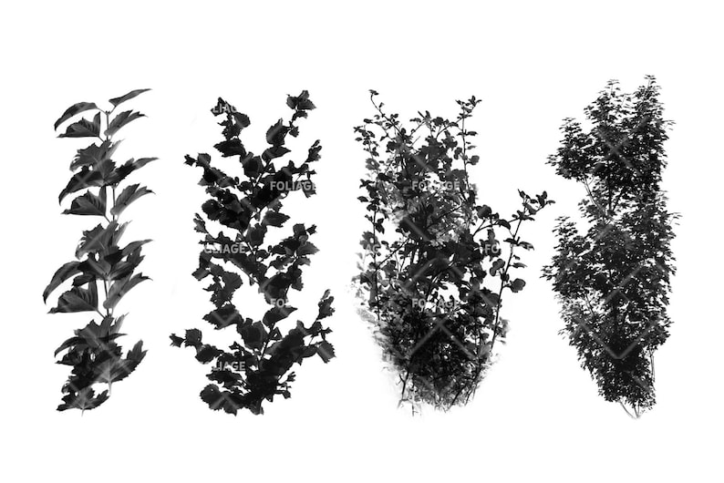 Foliage 1 Brush Set | Procreate | Photoshop | CSP | Texture Brushes - Etsy