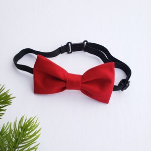 May include: A red bow tie with an adjustable black elastic strap.