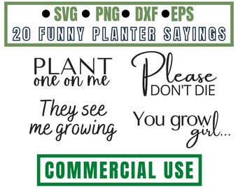 Free Free Flower Pot Sayings Svg Free SVG PNG EPS DXF File