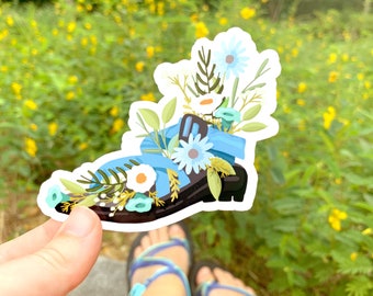 phish chacos