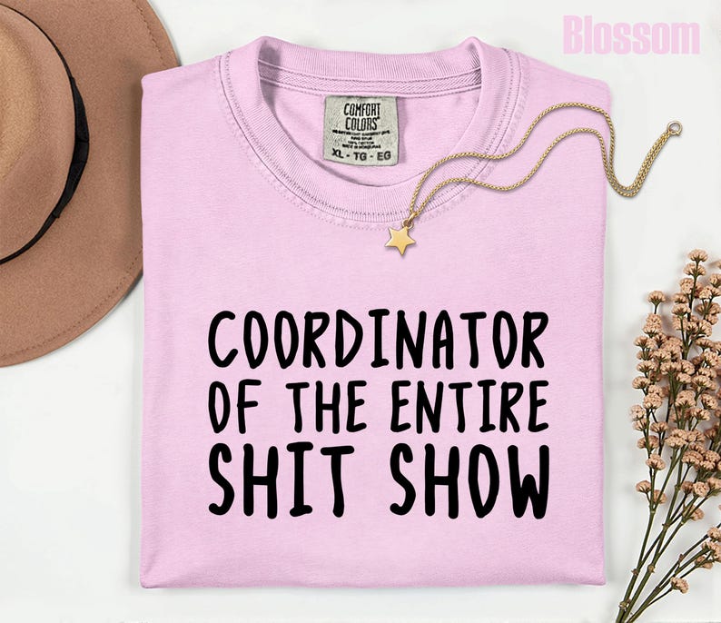 Comfort Colors Office Humor Shirt, Coordinator Of The Entire Shit Show Shirt, Funny Work Humor Tee, Chaos Coordinator Shirt, Office Gift bild 5