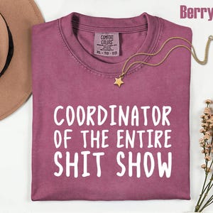 Comfort Colors Office Humor Shirt, Coordinator Of The Entire Shit Show Shirt, Funny Work Humor Tee, Chaos Coordinator Shirt, Office Gift bild 3