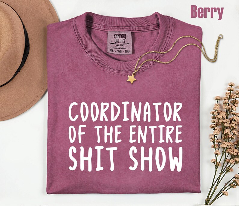 Comfort Colors Office Humor Shirt, Coordinator Of The Entire Shit Show Shirt, Funny Work Humor Tee, Chaos Coordinator Shirt, Office Gift bild 3