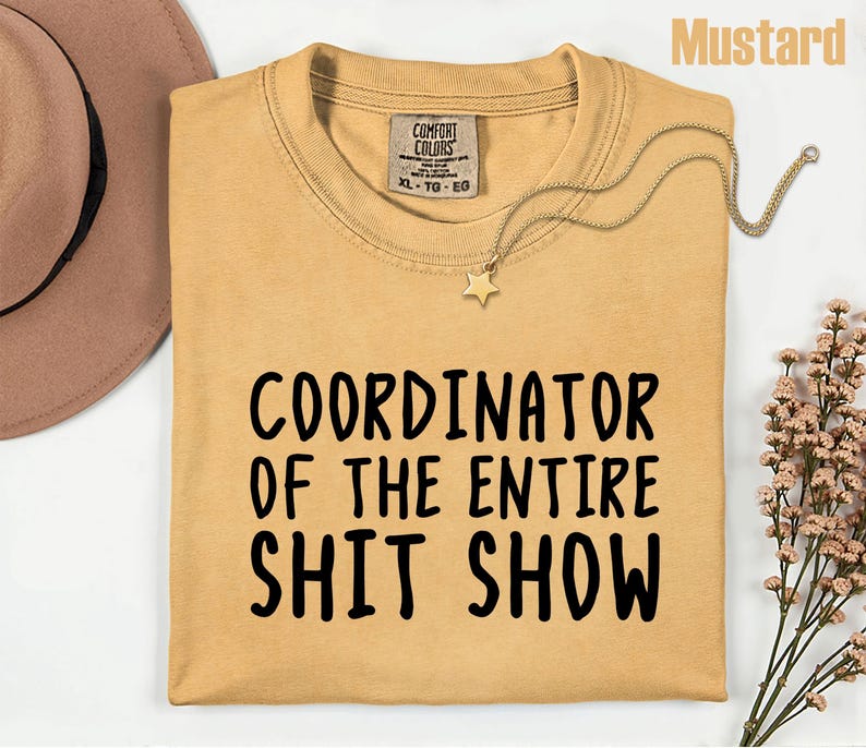 Comfort Colors Office Humor Shirt, Coordinator Of The Entire Shit Show Shirt, Funny Work Humor Tee, Chaos Coordinator Shirt, Office Gift bild 7