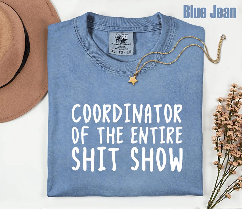 Comfort Colors Office Humor Shirt, Coordinator Of The Entire Shit Show Shirt, Funny Work Humor Tee, Chaos Coordinator Shirt, Office Gift bild 6