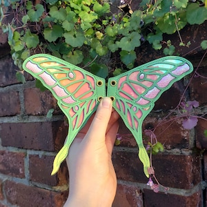 Luna Moth Skate Wings