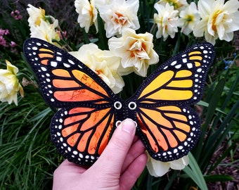 Alas de raya de la mariposa monarca