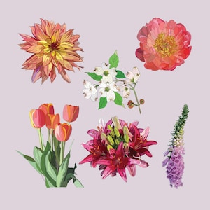 Wildblumen Aufkleber, Hartriegel Blumen, Tulpen, Dahlie, Fingerhüte & mehr, Blumen Aufkleber - Vinyl + wasserfest