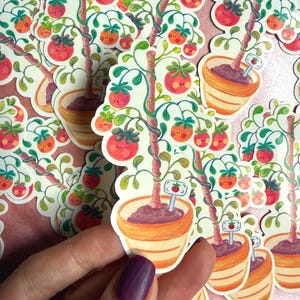 Peut inclure: Une collection d'autocollants représentant une plante de tomates de dessin animé dans un pot en terre cuite. La plante a des tomates rouges, des feuilles vertes et un panneau indiquant "tomate". Les autocollants ont une bordure blanche et sont sur fond rose.