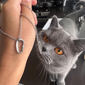 Peut inclure: Un chat gris aux yeux orange vif regarde une chaîne de collier en argent avec un petit pendentif ovale. Le collier est tenu par une main.