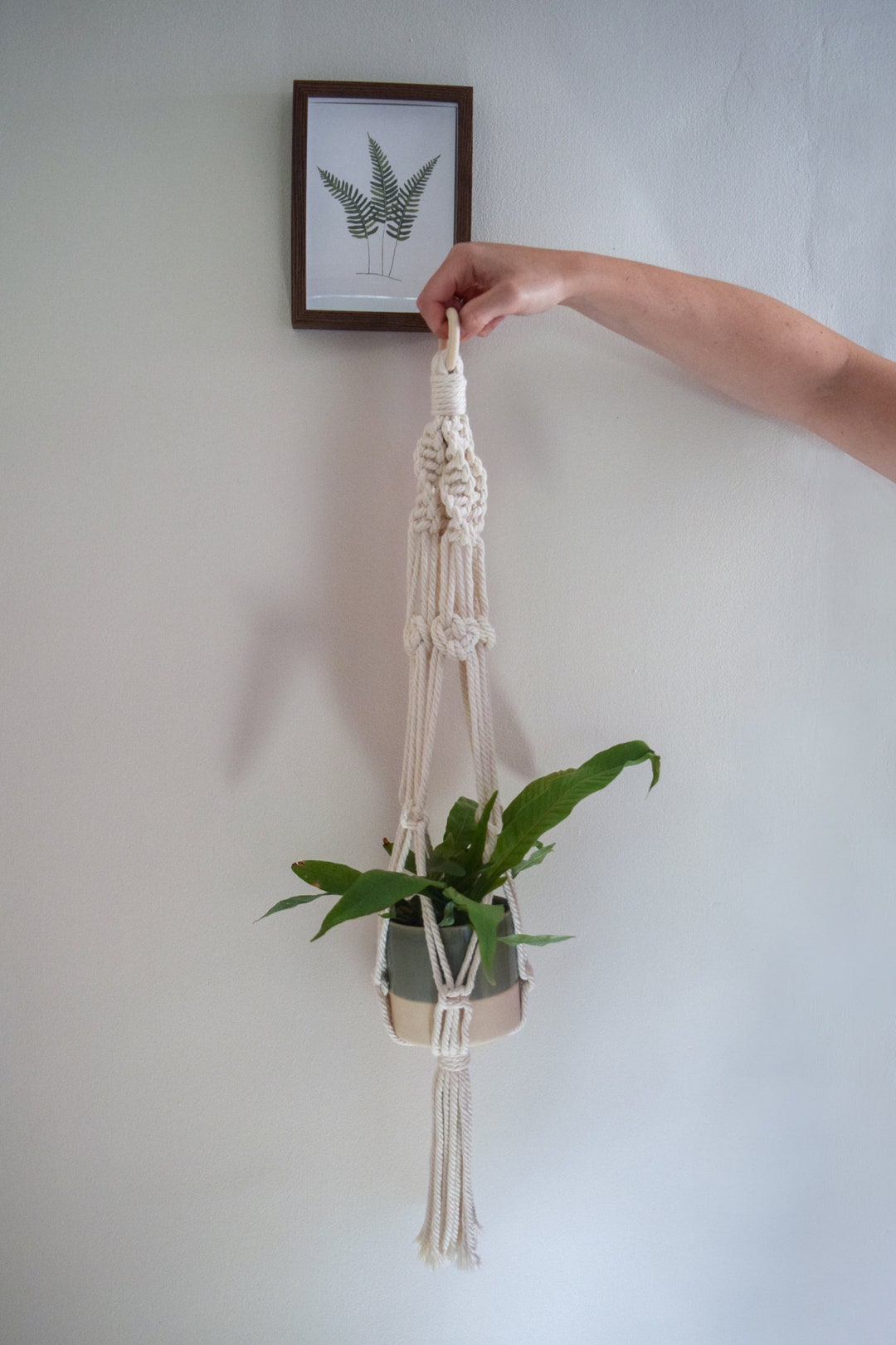 Macrame Josephine Plant Hanger Etsy