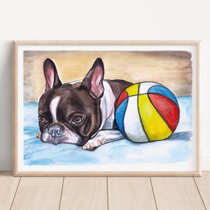 Boston terrier acquerello originale dipinto a mano