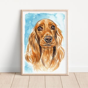 Acquerello Cocker spaniel fulvo dipinto a mano opera originale