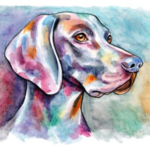 Bracco di Weimar Weimaraner acquerello originale dipinto a mano