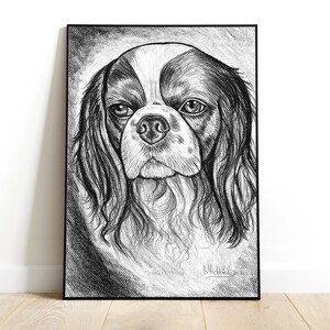 Ritratto Cavalier King Charles spaniel matita su carta