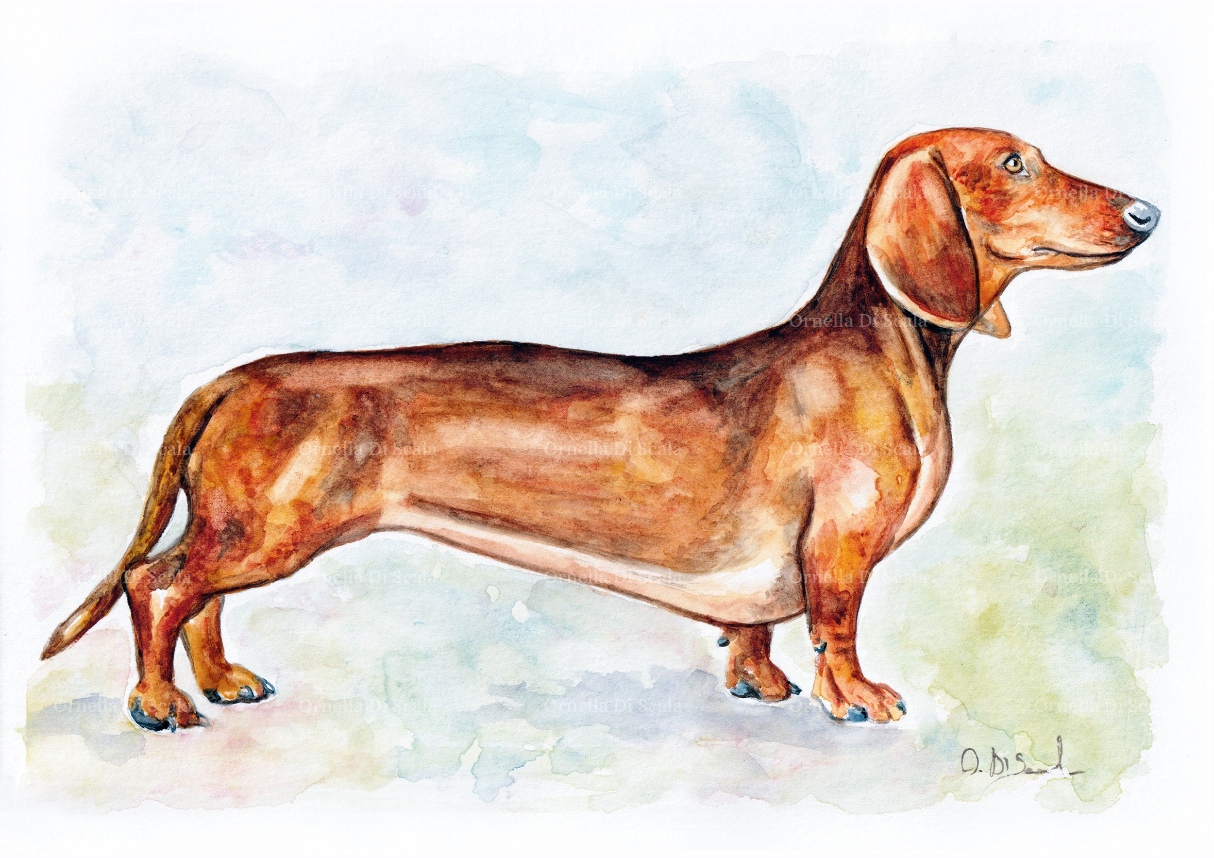 Collare Riflettente Personalizzato Con Stampa A Cuore E Zampa Per - Foto 11