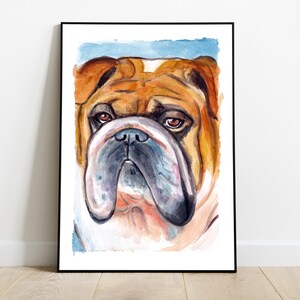 Bulldog inglese acquerello dipinto a mano