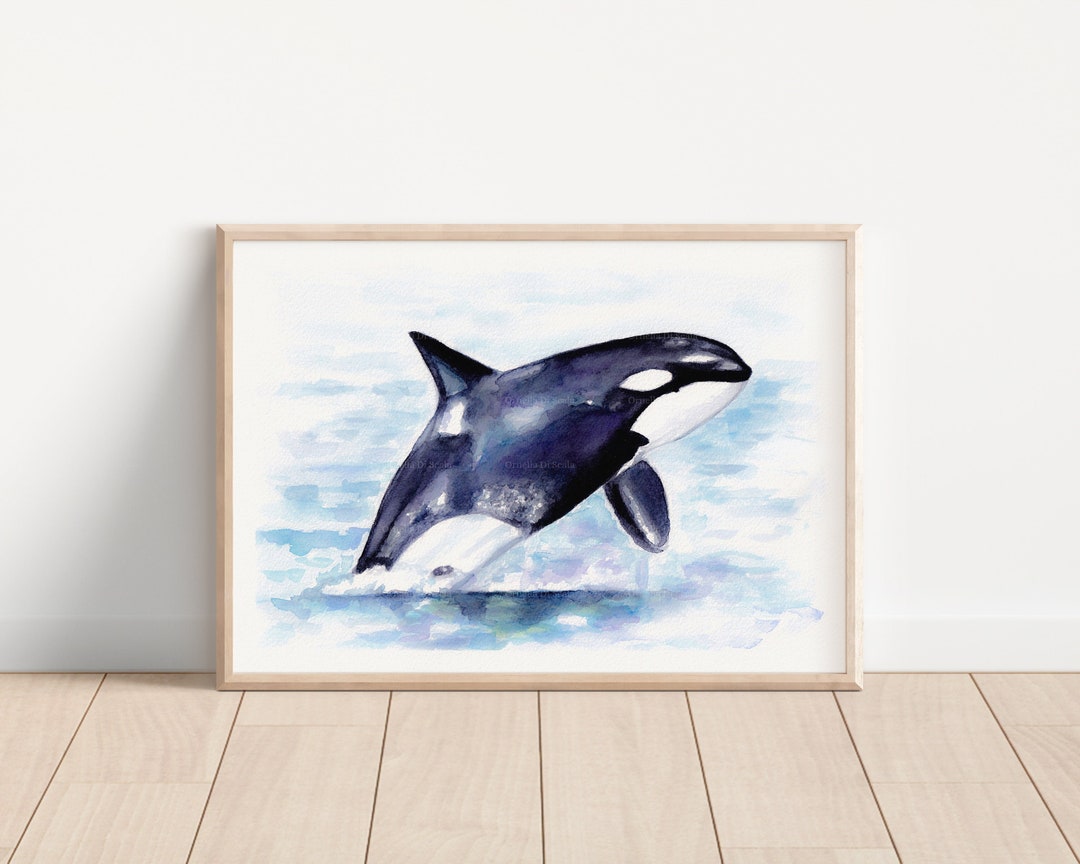 Killer Whale Watercolor Painting Original Artwork Orca - Etsy