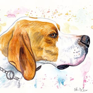Acquerello cane pointer dipinto a mano