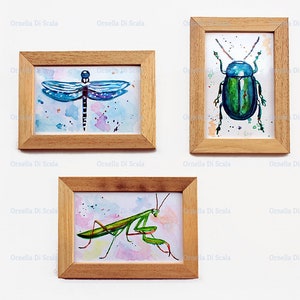 Libellula ,scarabeo e mantide religiosa, trittico dipinti di insetti ,set di 3 dipinti ad acquerello