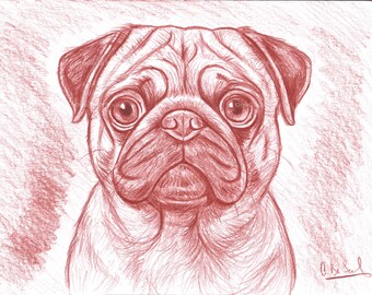 パグ - 色鉛筆画プリント - 犬のイラスト - アーティスト Gary Tymon