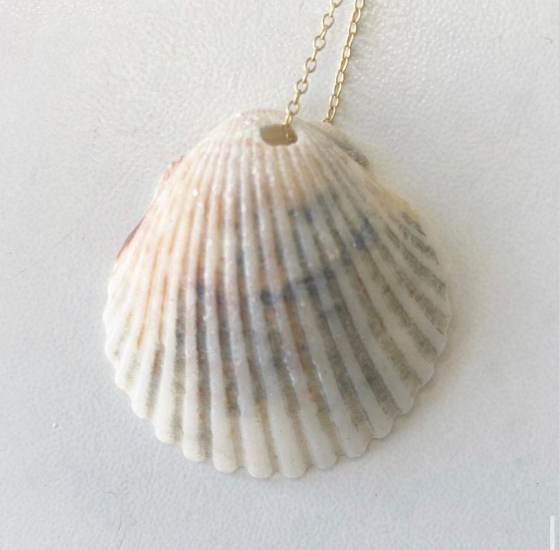 quahog shell purple outer banks Shell hair clip barrette jewelry gifts shell necklace OBX Outer Banks