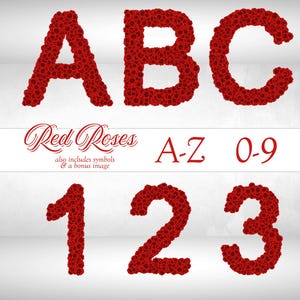Alfabeto y números de rosas rojas PNG / Clipart de letras florales / Fuentes románticas (letras A-Z, símbolos del 0 al 9) / Arte de sublimación para San Valentín y bodas