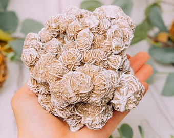 Large Desert Rose Cluster - Desert Rose Clusters - Desert Rose Rock - Desert Rose Stone - Gypsum Rose - Selenite Rose Crystals