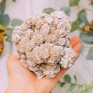 Desert Rose Selenite Large Cluster - Etsy