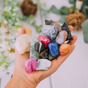 1 LB to 3 LB Crystal Mystery Bag! All types of assorted crystals, fossils, clusters, tumbled, rough, and more! Mixed Gemstones