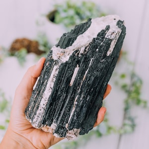 May include: A large, black and white crystal with a rough, textured surface. The crystal is held in a hand, and the background is blurred.