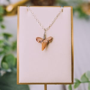 Sand Shark Tooth Necklace, Shark Tooth Pendant, Wrapped Shark Tooth Jewelry, Gifts for Kids, Fossil Shark Tooth, Surfer Necklace, Charm