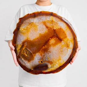 May include: A large, circular, polished agate slice featuring concentric bands of translucent amber, deep brown, and creamy white crystalline patterns. The stone displays natural mineral inclusions and a jagged, textured outer edge.