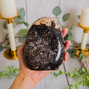 May include: A polished, egg-shaped stone featuring a dark, mottled surface with deep brown and black tones, accented by a lighter, textured beige cap at the top. The stone has a smooth, reflective finish and an irregular, organic pattern throughout.