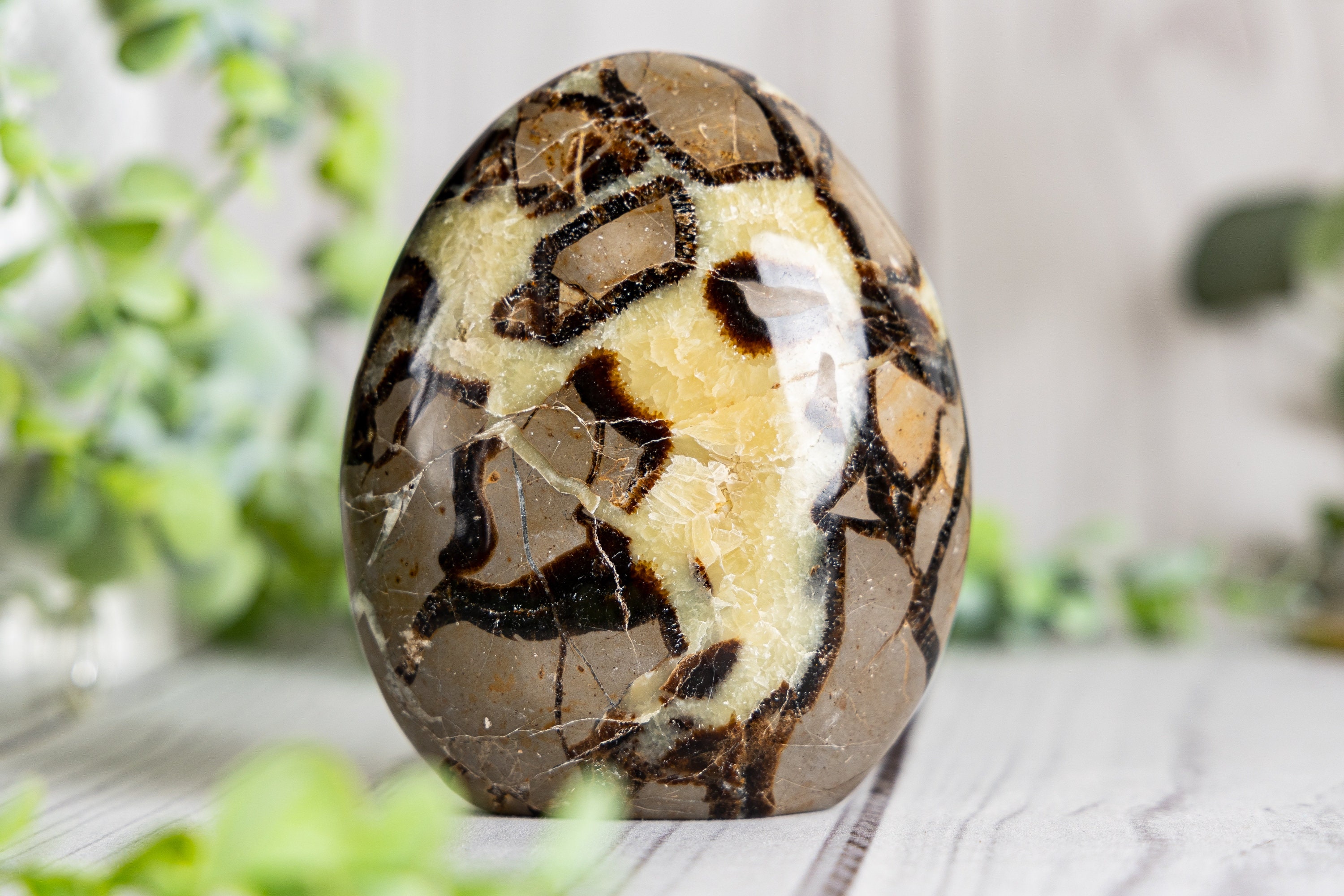 Septarian Form Septarian Freeform, Large Polished Septarian Standing Cut Base Free ...