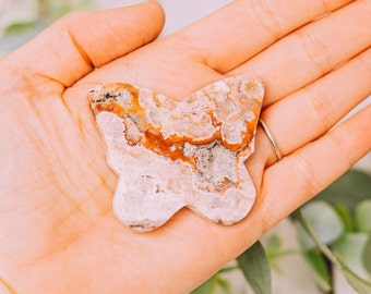 Pink Crazy Lace Agate Butterfly - Cut Polished Mineral - Pink Crazy Lace Agate Stone Gemstone Carving - Banded Agate