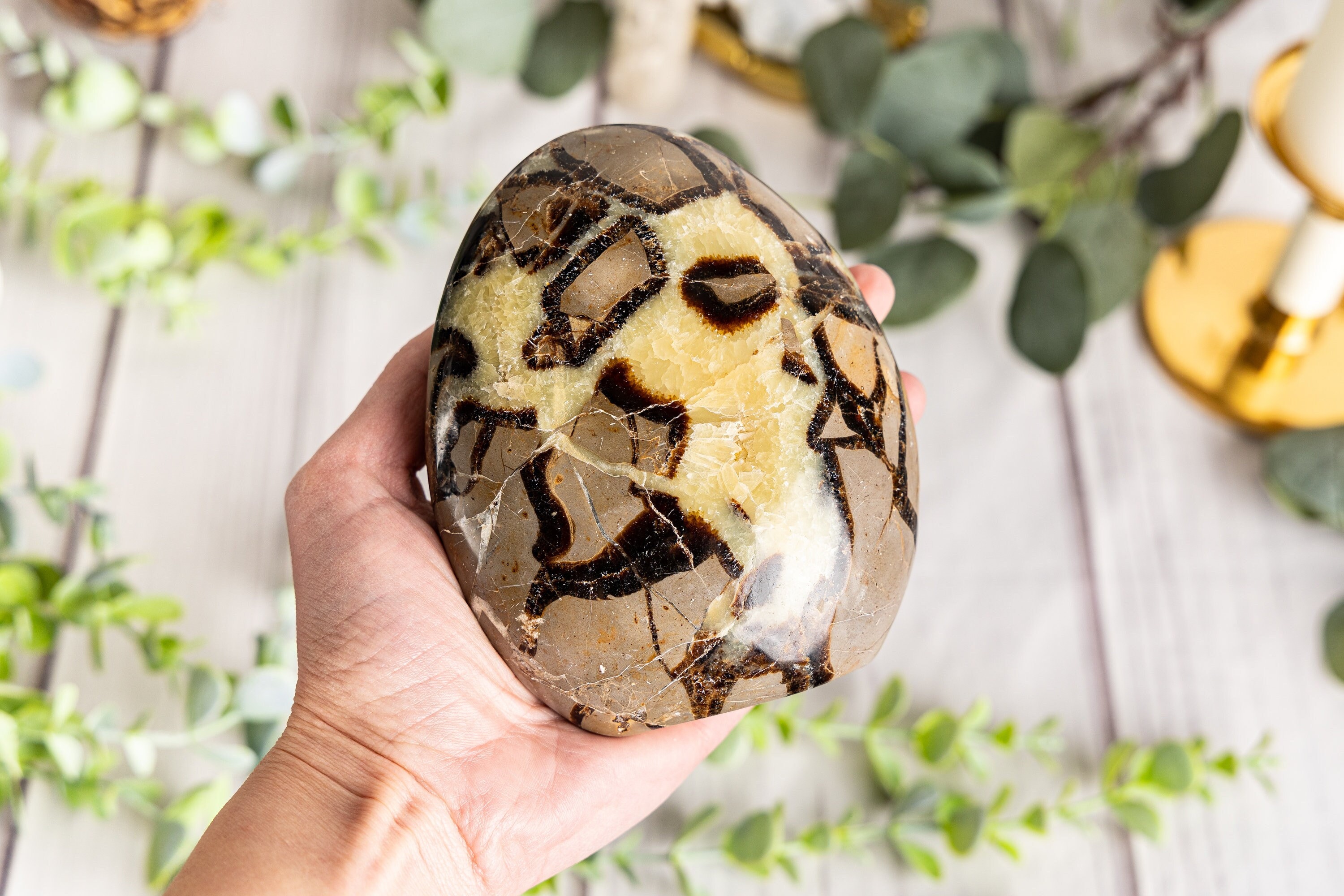 Septarian Form Septarian Freeform, Large Polished Septarian Standing Cut Base Free ...