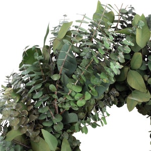 Eucalyptus Silver Dollar Wreath zoomed