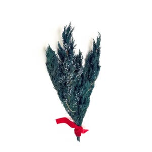 May include: A bundle of dark green evergreen branches with small, light-colored berries. The branches are tied together with a bright red ribbon, creating a festive and natural arrangement. Perfect for holiday decor or crafting.