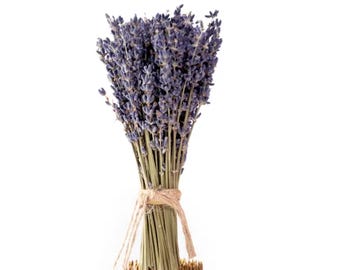De La Terre Mini French Lavender Bundle