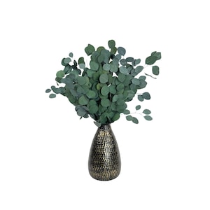 Preserved Silver Dollar Eucalyptus Stems 8oz Bouquet