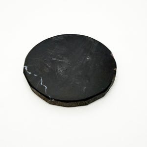 Petrified Wood Slices coasters black