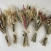 see more listings in the Dried Florals section