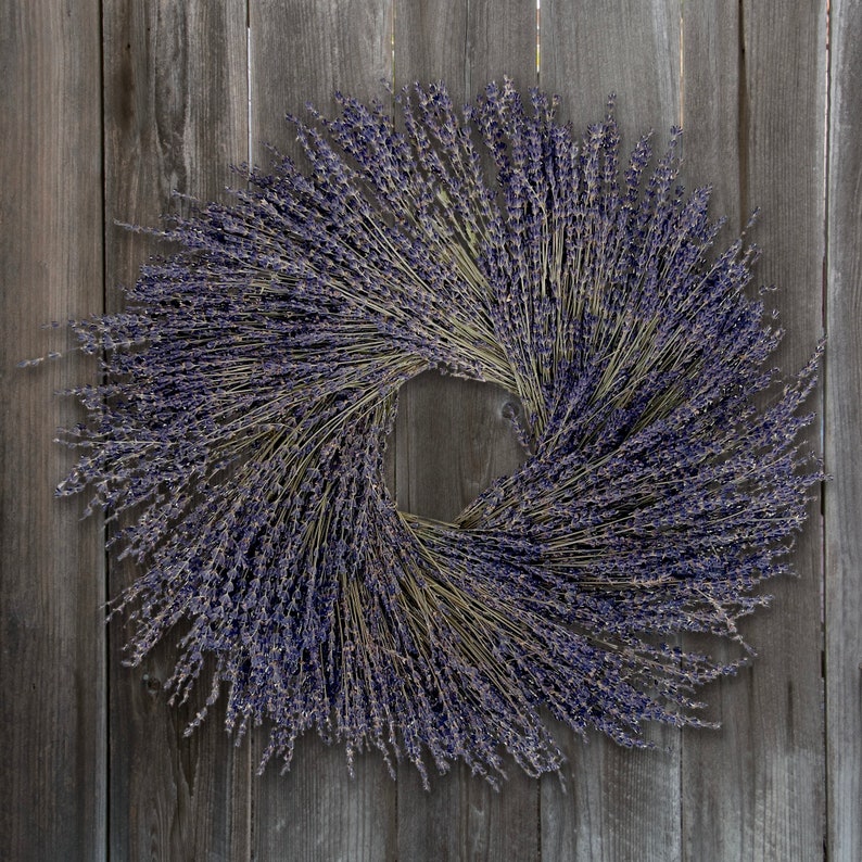 Provence Lavender Dried Wreath image 3
