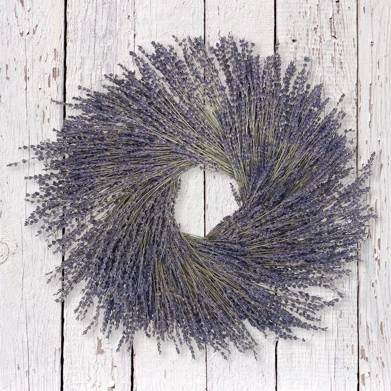Provence Lavender Dried Wreath image 4