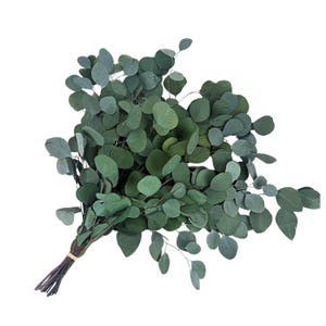 Peut inclure: Un bouquet de feuilles d'eucalyptus, avec des nuances de vert et de vert-bleu. Les feuilles ovales sont regroupées et liées avec une ficelle marron clair. Les tiges sont brun foncé.