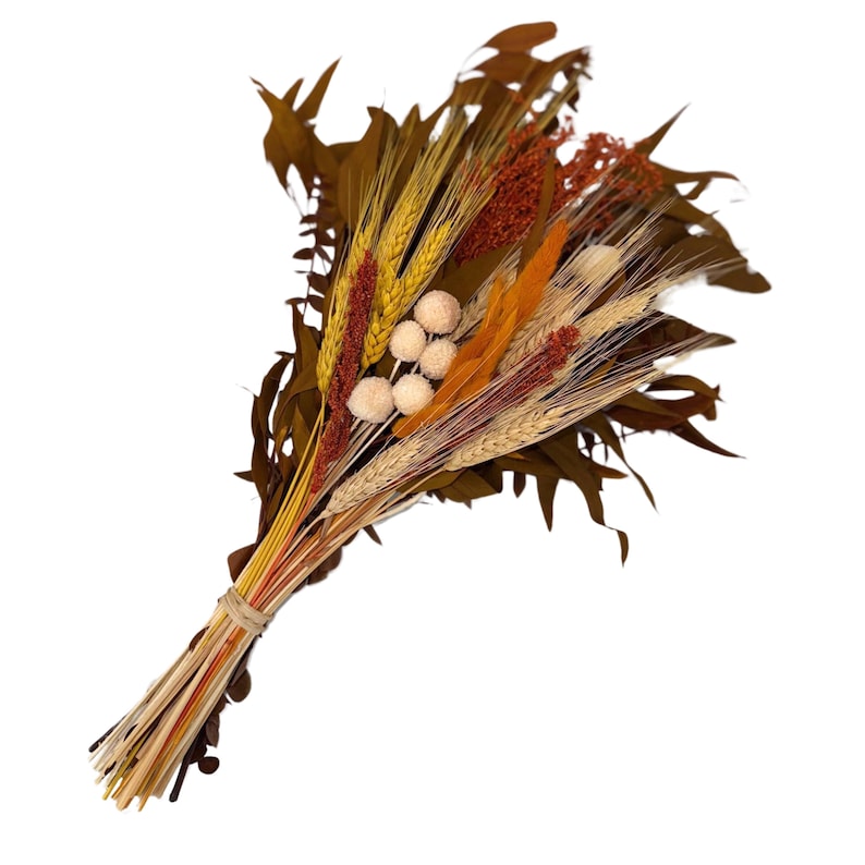 May include: A bouquet of dried flowers in shades of brown, yellow, orange, and white. The bouquet includes wheat, dried grasses, and small white pom poms.